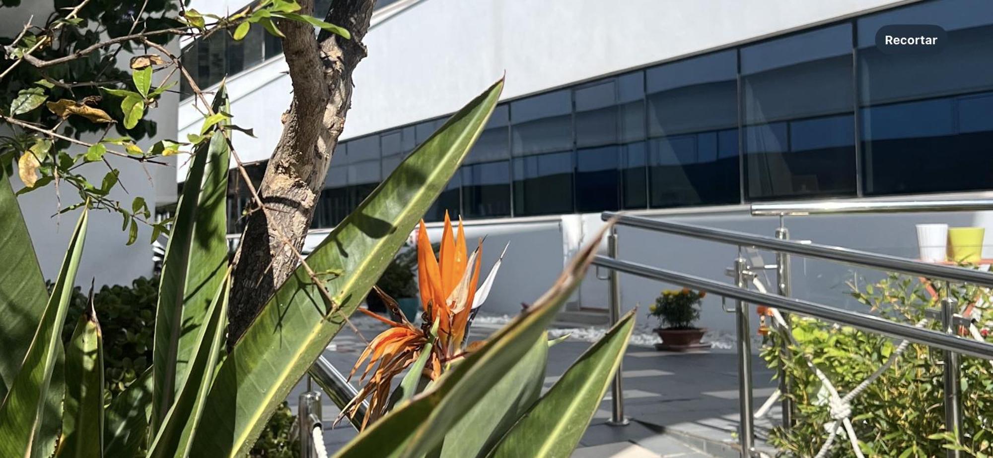Ancla Real Apartamentos Loft El Puerto de Santa Maria Exterior foto
